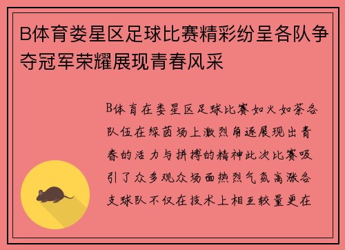 B体育娄星区足球比赛精彩纷呈各队争夺冠军荣耀展现青春风采