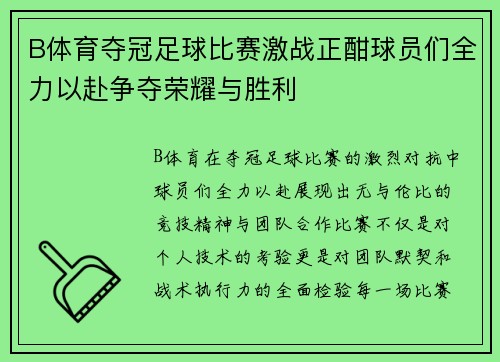 B体育夺冠足球比赛激战正酣球员们全力以赴争夺荣耀与胜利