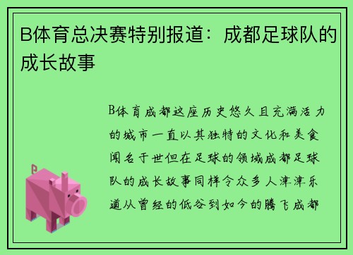 B体育总决赛特别报道：成都足球队的成长故事